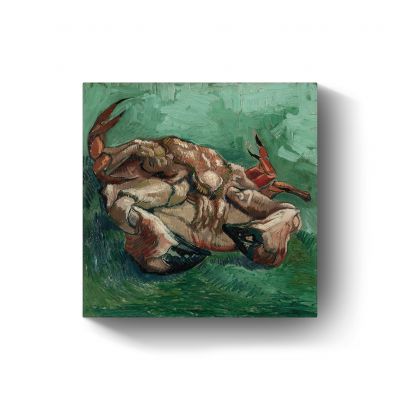 Een op zijn rug liggende krab  door Vincent van Gogh