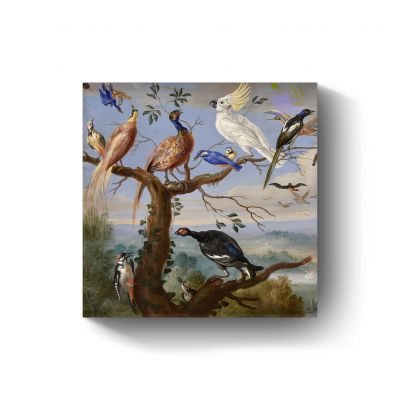 Exotische vogels Brafa door Jan van Kessel