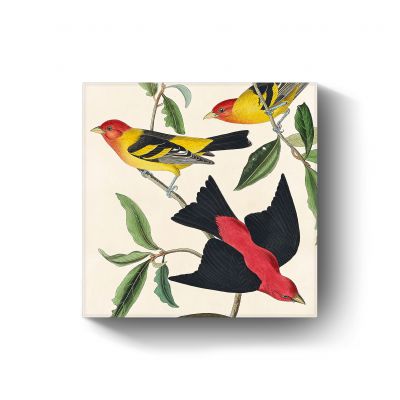 Louisiana Tanager and Scarlet Tanager door John James Audubon